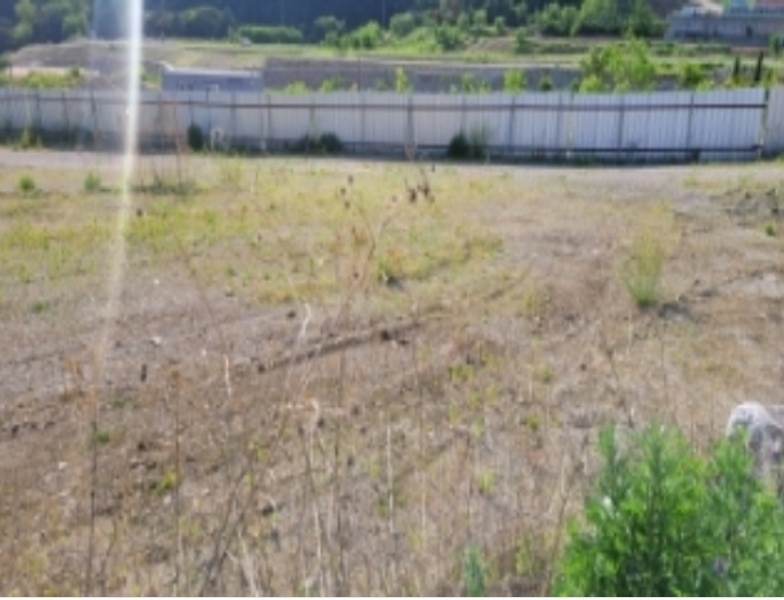 2024타경4421 경상북도 칠곡군 가산면 학산리 913-1 공장 경매 이미지