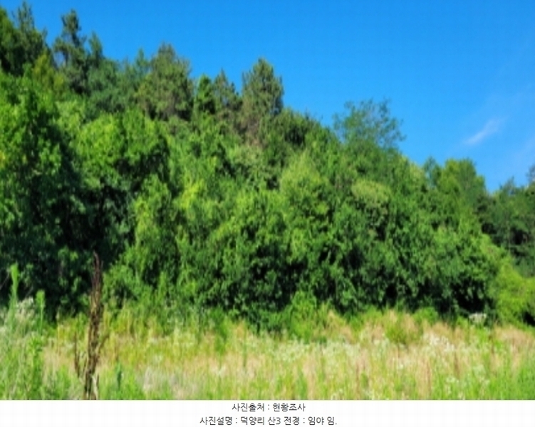 2024타경4612 경상북도 청도군 풍각면 덕양리 250 농지 경매 이미지