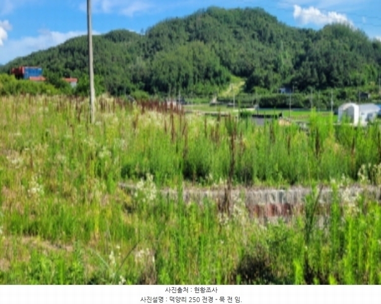 2024타경4612 경상북도 청도군 풍각면 덕양리 250 농지 경매 이미지