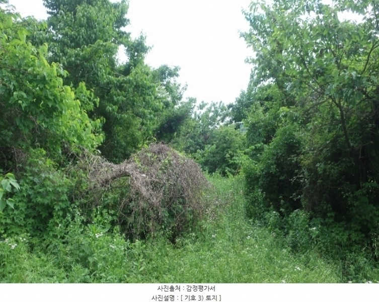 2024타경4612 경상북도 청도군 풍각면 덕양리 250 농지 경매 이미지