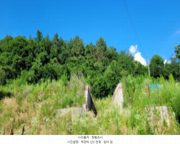 2024타경4612 경상북도 청도군 풍각면 덕양리 250 농지 경매 이미지