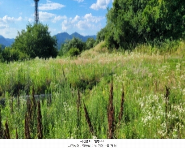2024타경4612 경상북도 청도군 풍각면 덕양리 250 농지 경매 이미지