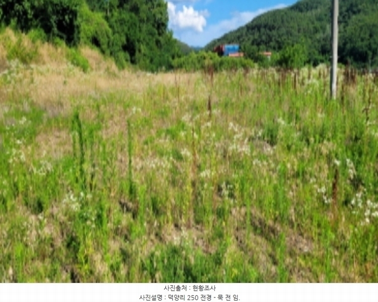 2024타경4612 경상북도 청도군 풍각면 덕양리 250 농지 경매 이미지