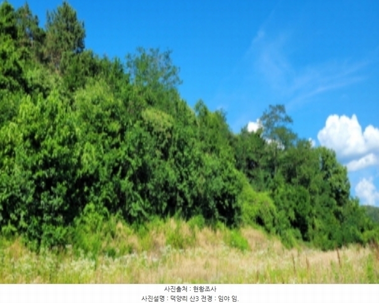 2024타경4612 경상북도 청도군 풍각면 덕양리 250 농지 경매 이미지