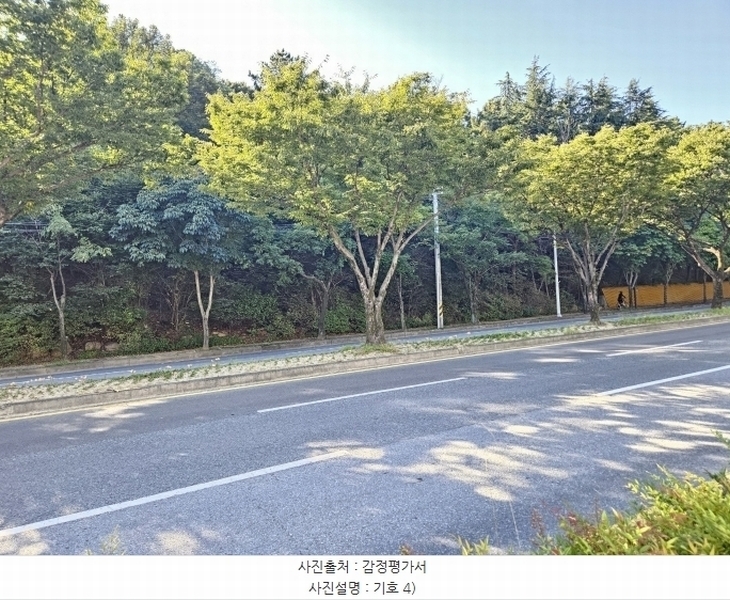 2024타경120934 대구광역시 동구 봉무동 산40-13 임야 경매 이미지