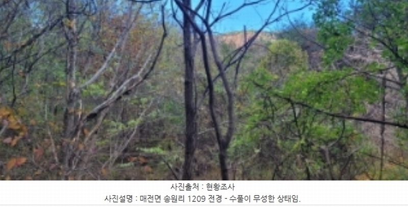 2024타경122558 경상북도 청도군 매전면 송원리 1209 농지 경매 이미지