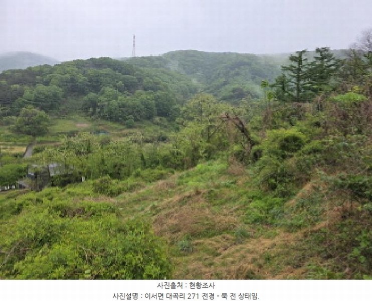 2025타경7649 경상북도 청도군 이서면 대곡리 271 농지 경매 이미지