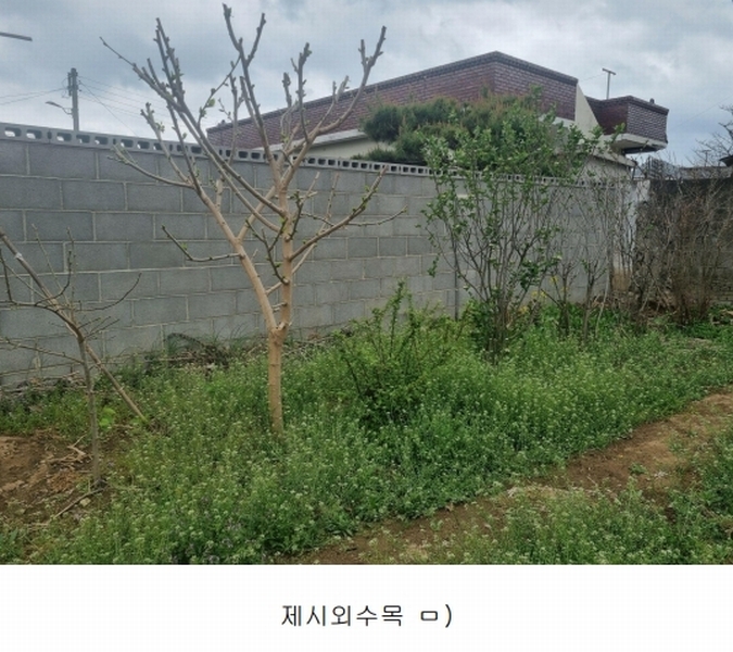 2025타경7705 경상북도 청도군 풍각면 송서리 722-5 대지 경매 이미지