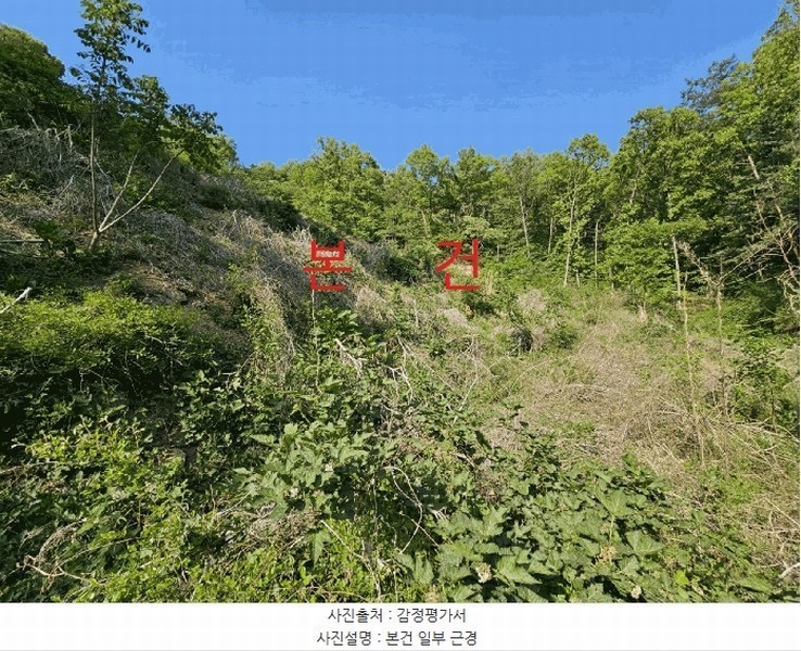 2025타경7770 경상북도 경산시 자인면 신관리 산58-1 임야 경매 이미지