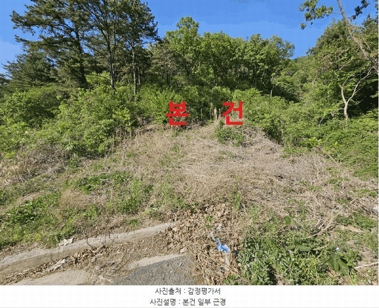 2025타경7770 경상북도 경산시 자인면 신관리 산58-1 임야 경매 이미지