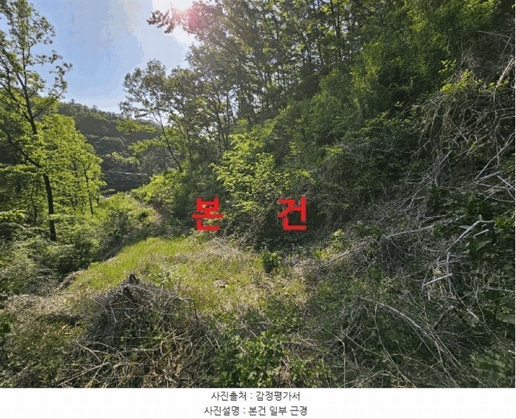 2025타경7770 경상북도 경산시 자인면 신관리 산58-1 임야 경매 이미지