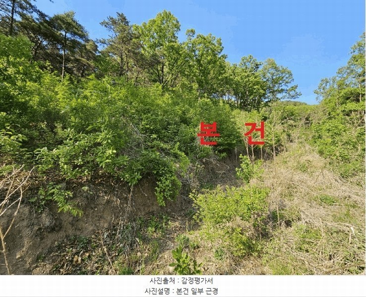 2025타경7770 경상북도 경산시 자인면 신관리 산58-1 임야 경매 이미지
