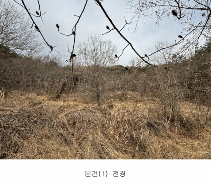 2025타경11138 울산광역시 울주군 범서읍 두산리 964 농지 경매 이미지