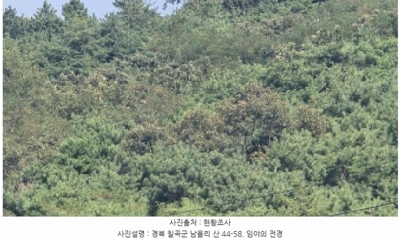 2025타경8275 경상북도 칠곡군 석적읍 남율리 산44-58 임야 경매 이미지