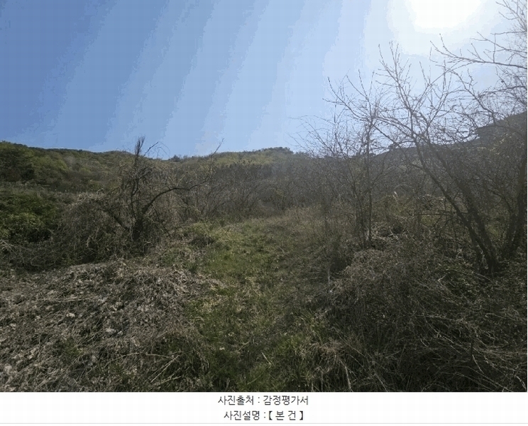 2025타경11290 경상남도 김해시 한림면 금곡리 944 농지 경매 이미지