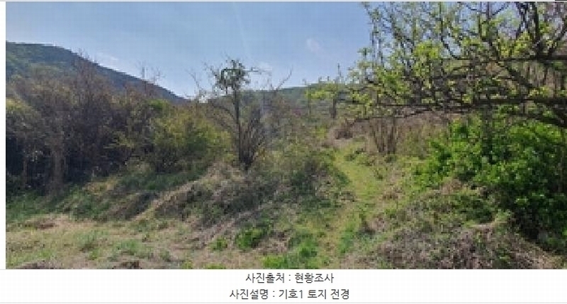 2025타경11290 경상남도 김해시 한림면 금곡리 944 농지 경매 이미지