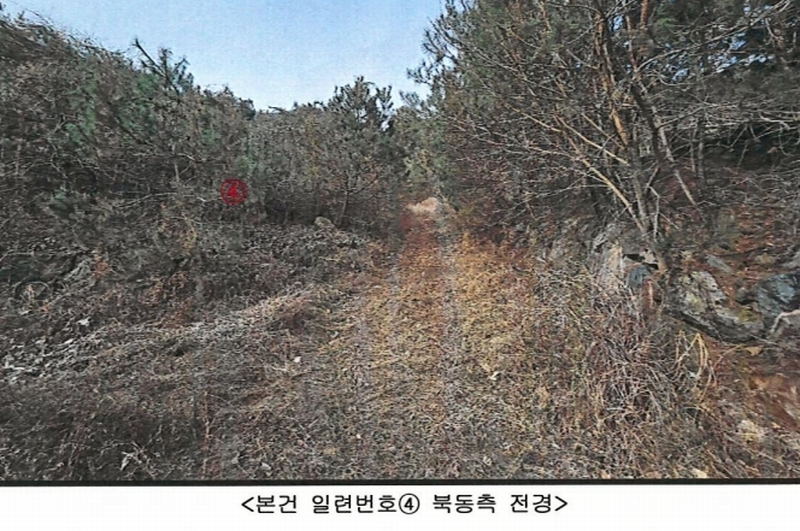 2024타경113325 경상북도 청도군 금천면 소천리 1167-1 임야 경매 이미지