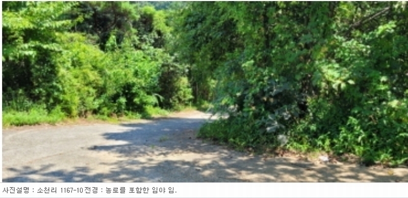 2024타경113325 경상북도 청도군 금천면 소천리 1167-1 임야 경매 이미지