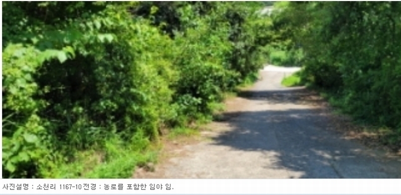 2024타경113325 경상북도 청도군 금천면 소천리 1167-1 임야 경매 이미지