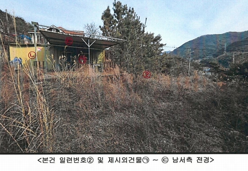 2024타경113325 경상북도 청도군 금천면 소천리 1167-1 임야 경매 이미지