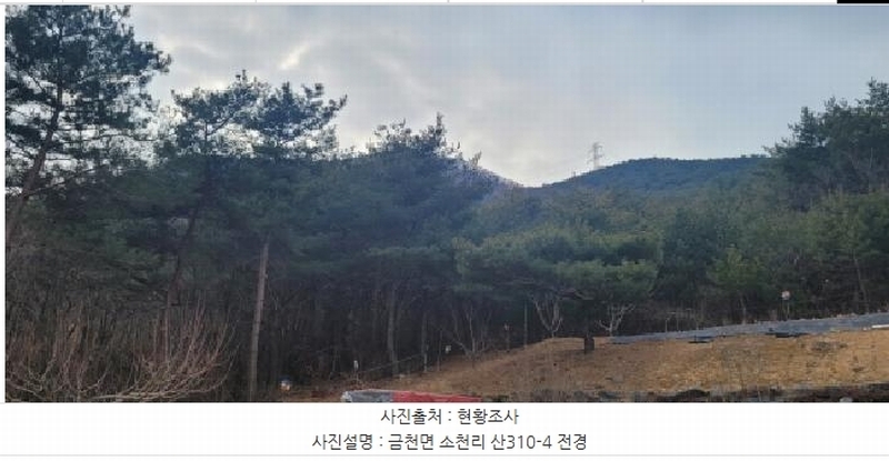 2024타경113325 경상북도 청도군 금천면 소천리 1167-1 임야 경매 이미지