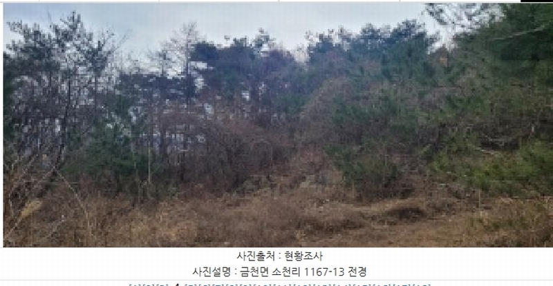 2024타경113325 경상북도 청도군 금천면 소천리 1167-1 임야 경매 이미지