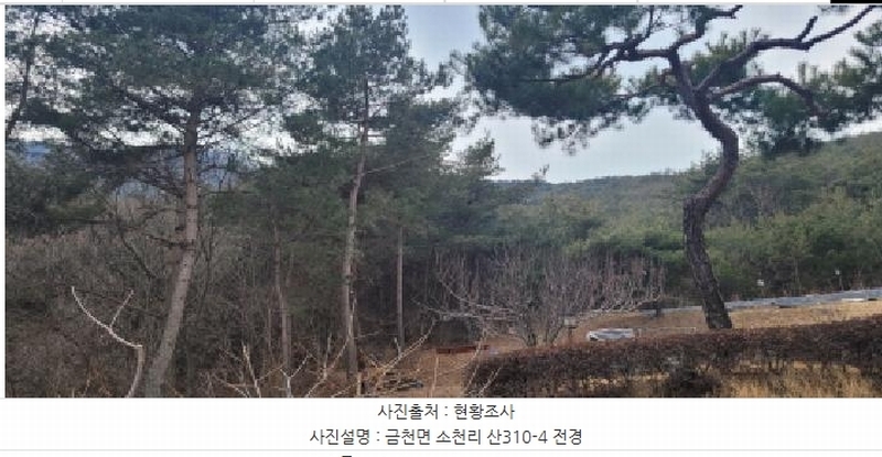 2024타경113325 경상북도 청도군 금천면 소천리 1167-1 임야 경매 이미지