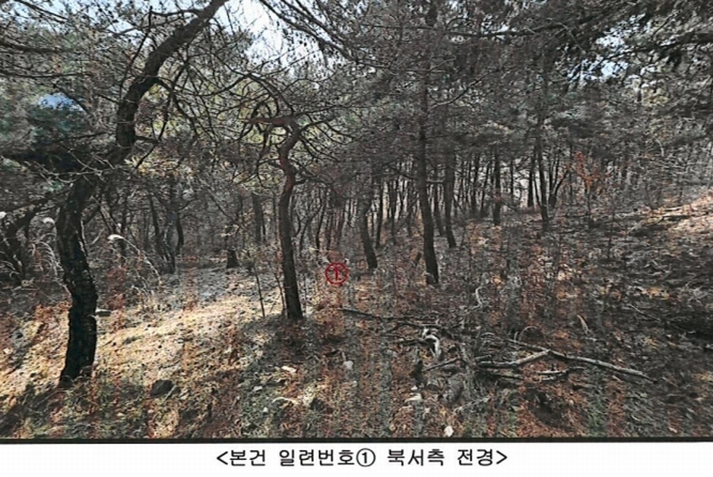 2024타경113325 경상북도 청도군 금천면 소천리 1167-1 임야 경매 이미지