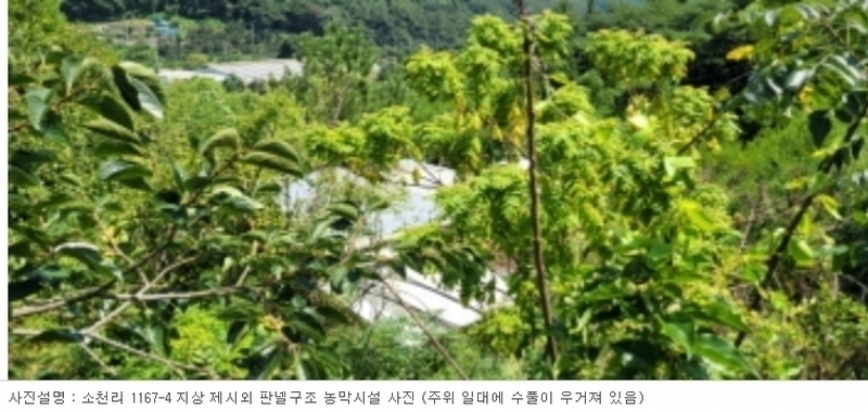 2024타경113325 경상북도 청도군 금천면 소천리 1167-1 임야 경매 이미지