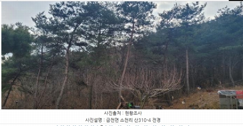 2024타경113325 경상북도 청도군 금천면 소천리 1167-1 임야 경매 이미지