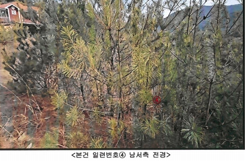 2024타경113325 경상북도 청도군 금천면 소천리 1167-1 임야 경매 이미지