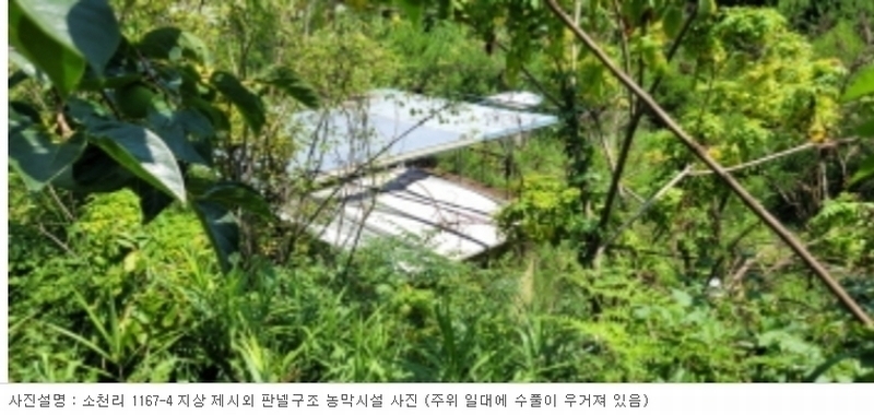 2024타경113325 경상북도 청도군 금천면 소천리 1167-1 임야 경매 이미지
