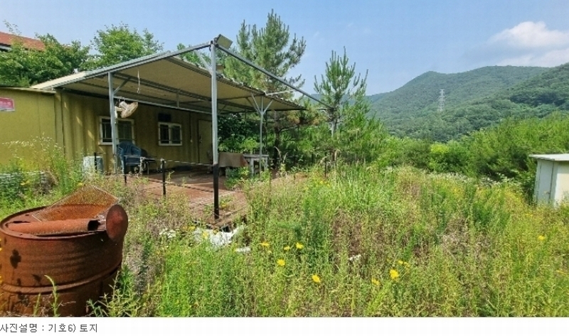 2024타경113325 경상북도 청도군 금천면 소천리 1167-1 임야 경매 이미지