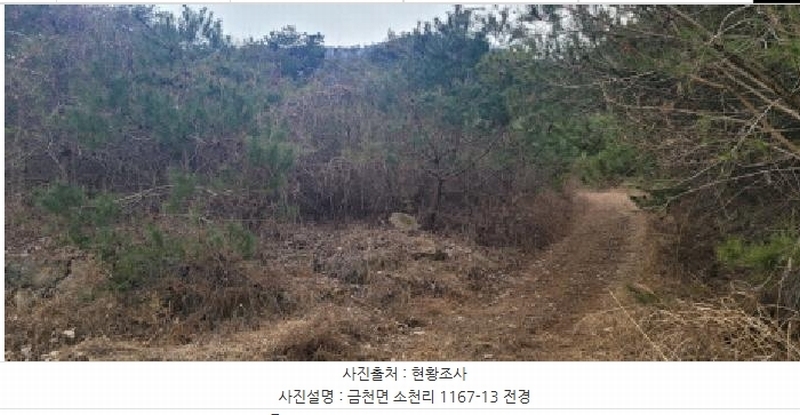 2024타경113325 경상북도 청도군 금천면 소천리 1167-1 임야 경매 이미지