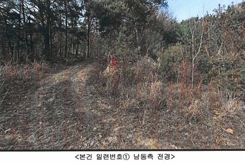 2024타경113325 경상북도 청도군 금천면 소천리 1167-1 임야 경매 이미지