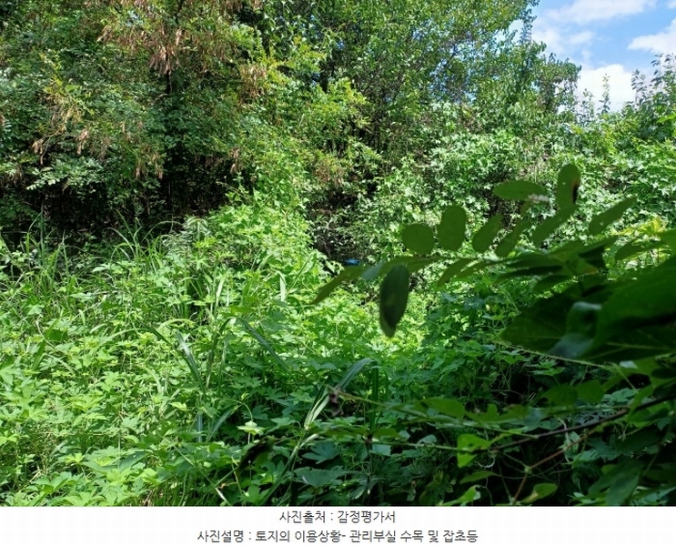 2024타경115369 경상북도 경산시 자인면 읍천리 535-2 농지 경매 이미지