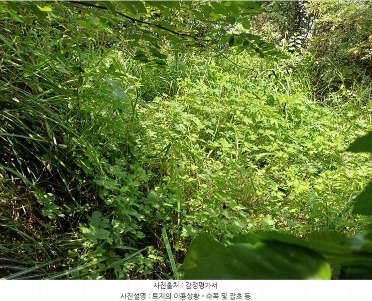 2024타경115369 경상북도 경산시 자인면 읍천리 535-2 농지 경매 이미지