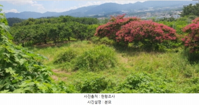 2024타경115369 경상북도 경산시 자인면 읍천리 535-2 농지 경매 이미지