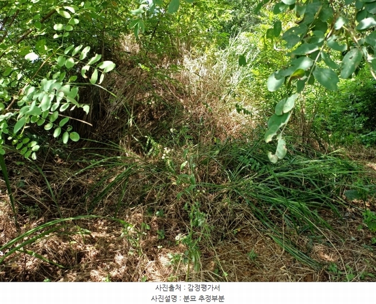 2024타경115369 경상북도 경산시 자인면 읍천리 535-2 농지 경매 이미지