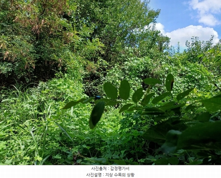 2024타경115369 경상북도 경산시 자인면 읍천리 535-2 농지 경매 이미지