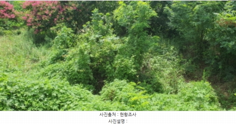 2024타경115369 경상북도 경산시 자인면 읍천리 535-2 농지 경매 이미지