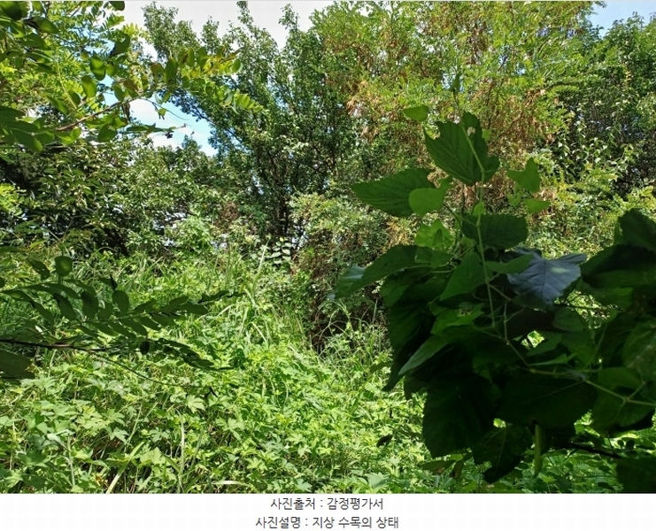 2024타경115369 경상북도 경산시 자인면 읍천리 535-2 농지 경매 이미지