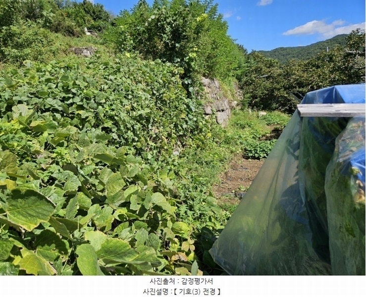 2024타경120927 경상북도 청도군 이서면 대곡리 산148-1 임야 경매 이미지