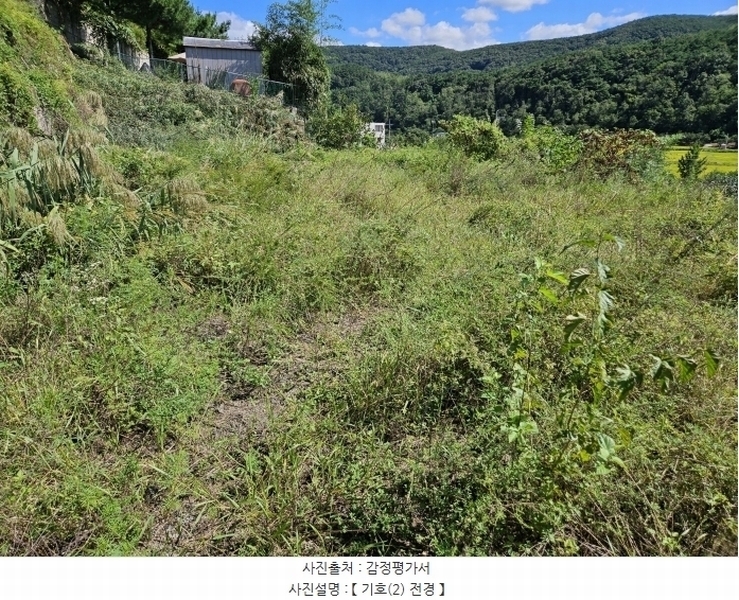 2024타경120927 경상북도 청도군 이서면 대곡리 산148-1 임야 경매 이미지