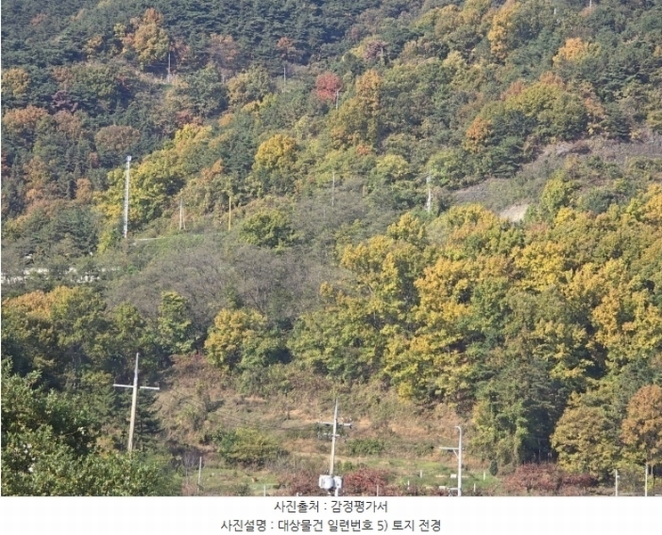 2024타경124738 경상북도 청도군 이서면 팔조리 산62 임야 경매 이미지