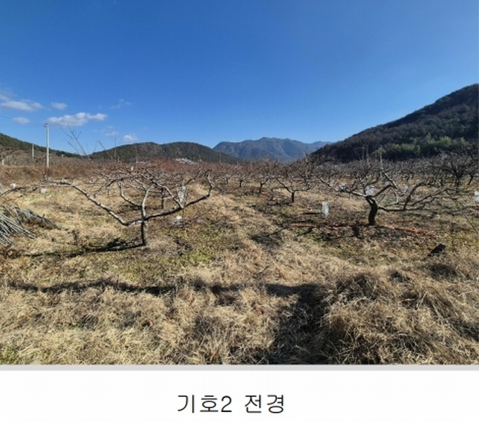 2024타경127317 경상북도 청도군 매전면 온막리 433 농지 경매 이미지