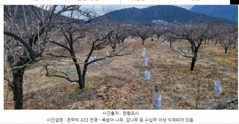 2024타경127317 경상북도 청도군 매전면 온막리 433 농지 경매 이미지