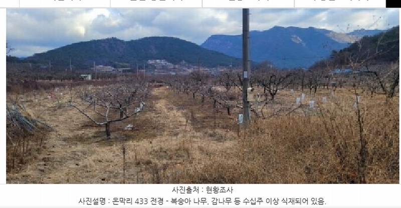 2024타경127317 경상북도 청도군 매전면 온막리 433 농지 경매 이미지
