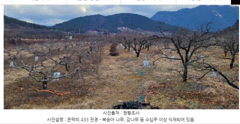 2024타경127317 경상북도 청도군 매전면 온막리 433 농지 경매 이미지