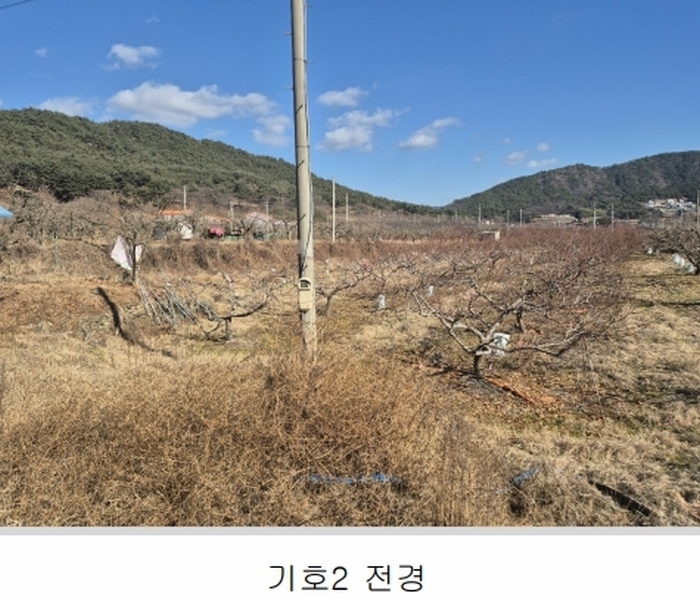 2024타경127317 경상북도 청도군 매전면 온막리 433 농지 경매 이미지